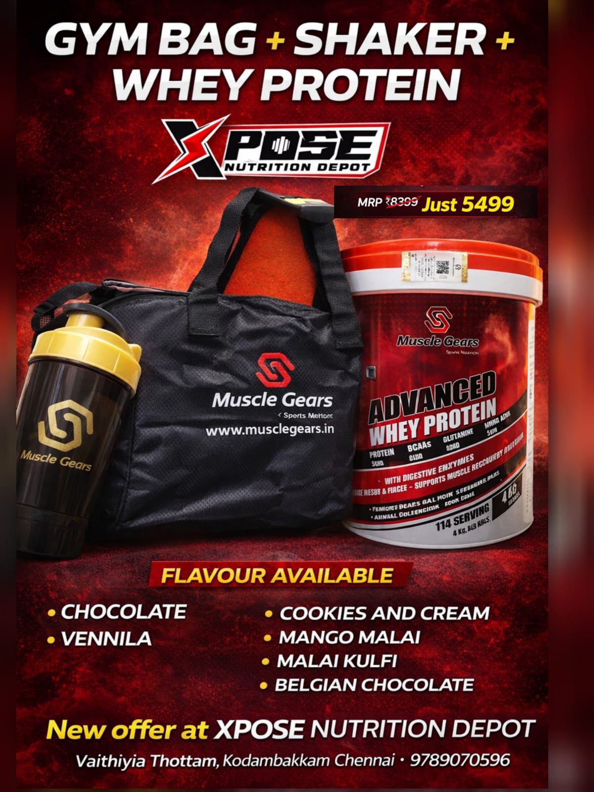 Muscle Gears Advanced Whey Protein Powder